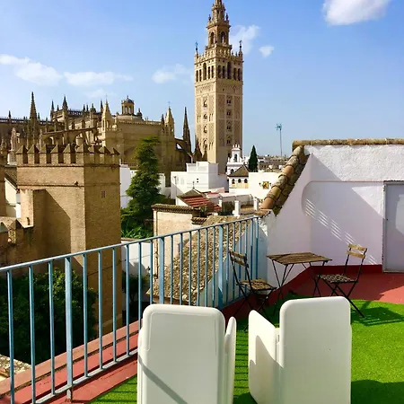 Gotoseville Santa Cruz Catedral